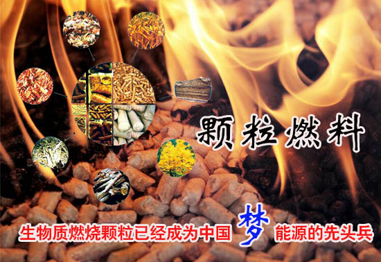 生物質(zhì)燃料顆粒多少錢一噸！